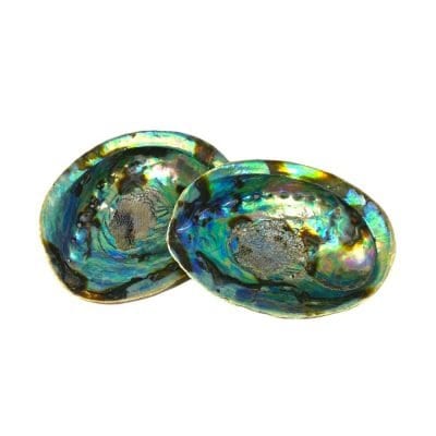 Abalone Crystal: Healing Properties, Meaning & Uses