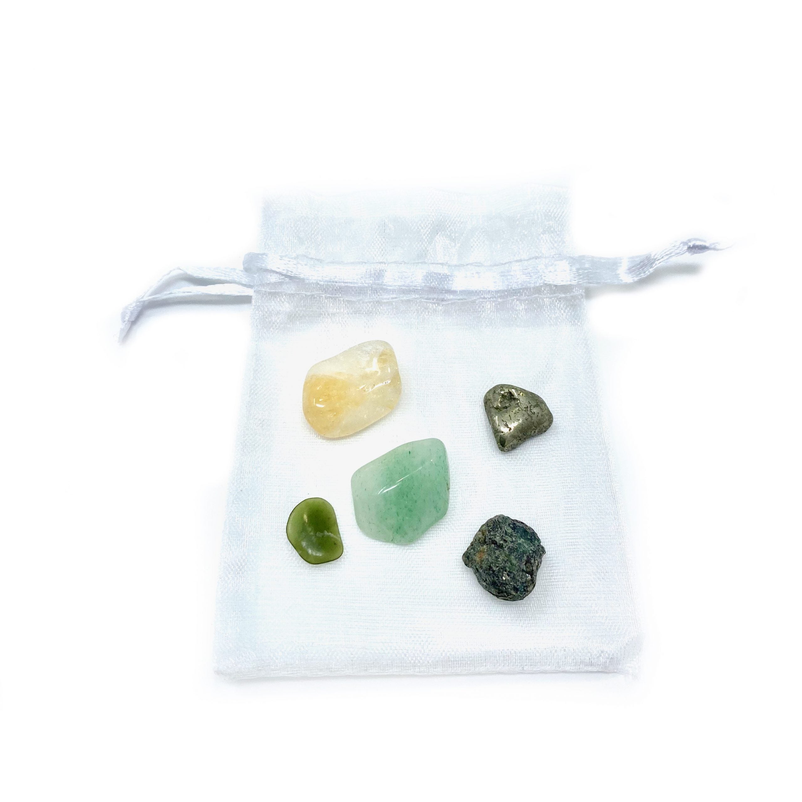 Prosperity Pouch