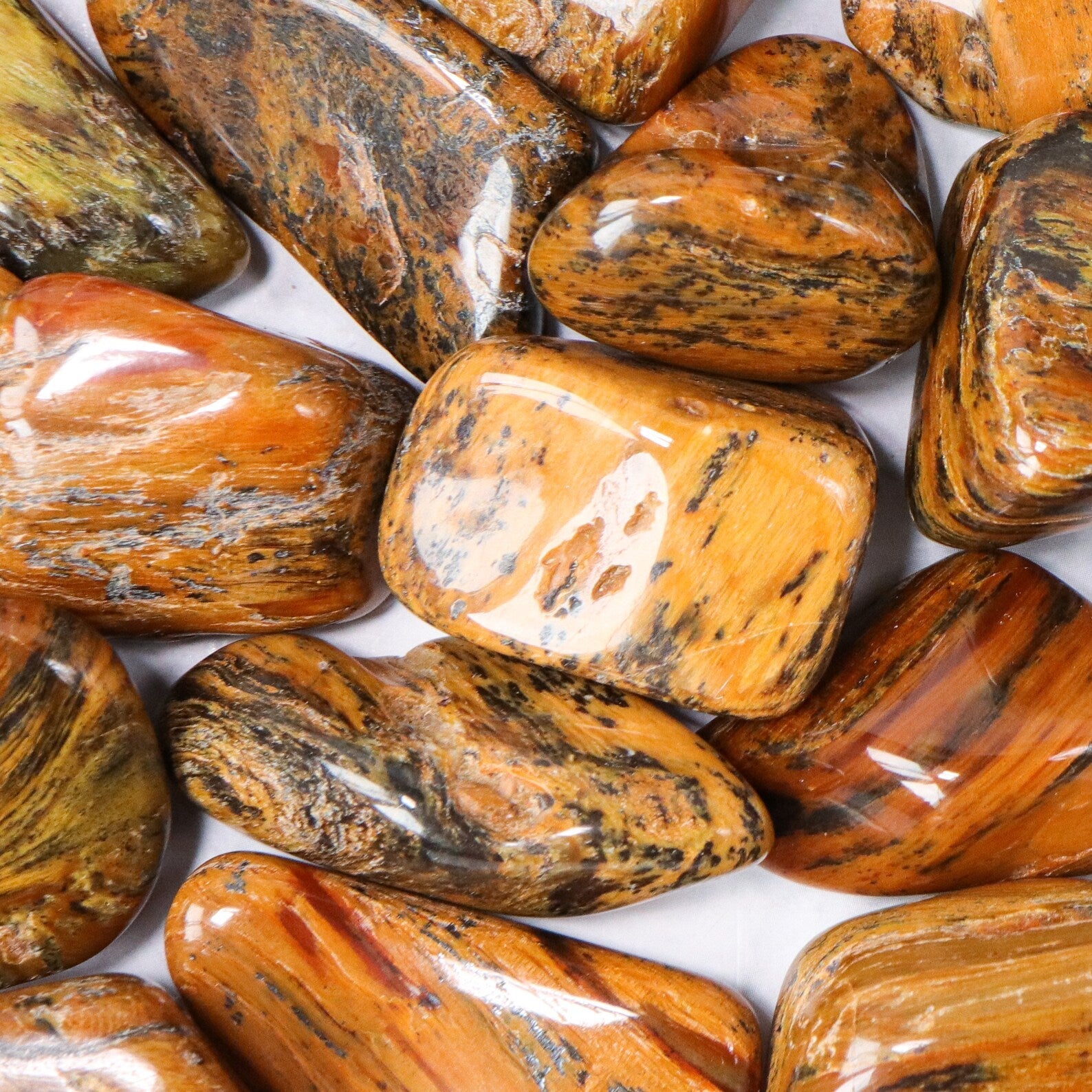 Opalized Wood Crystal: Healing Properties, Meaning & Uses