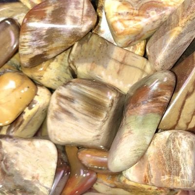 Petrified Wood Crystal: Healing Properties, Meaning & Uses