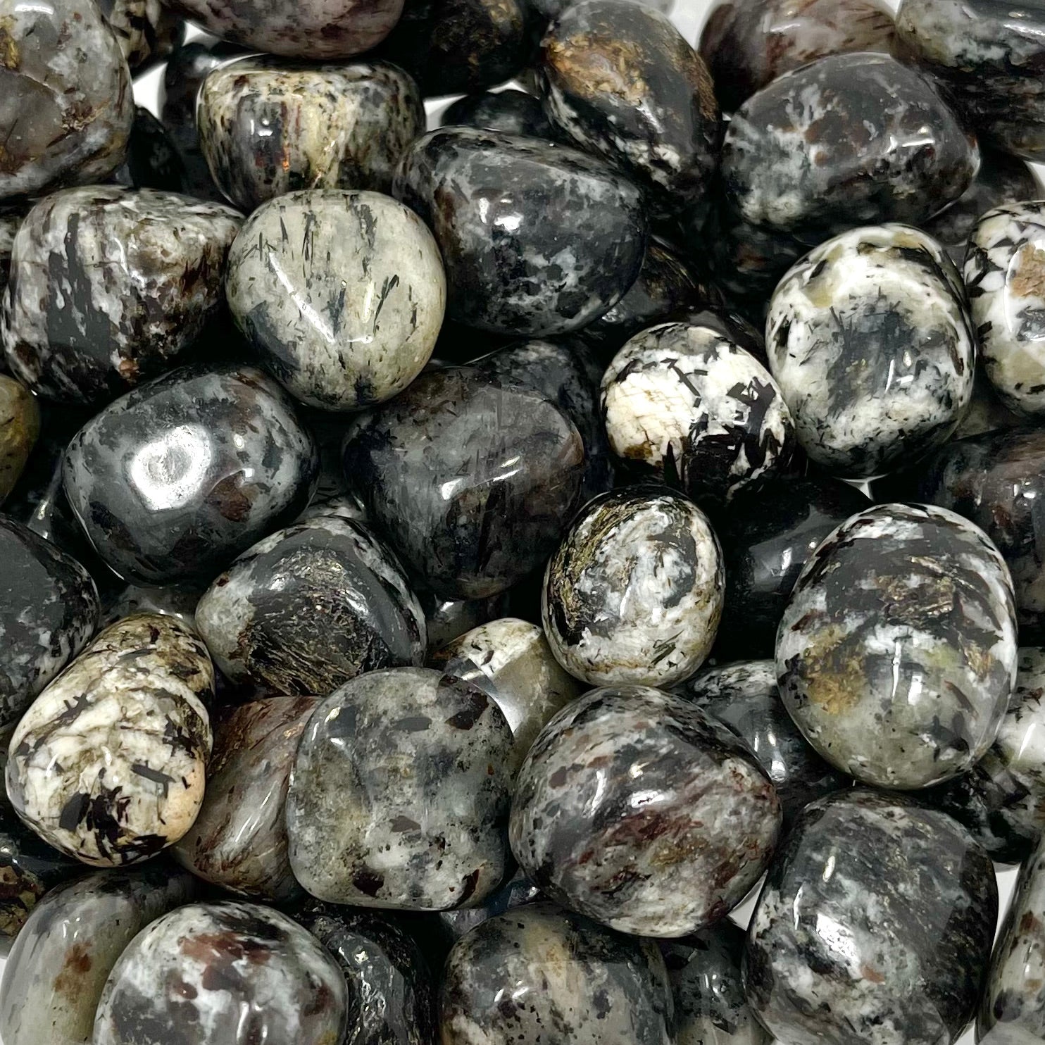 Astrophyllite
