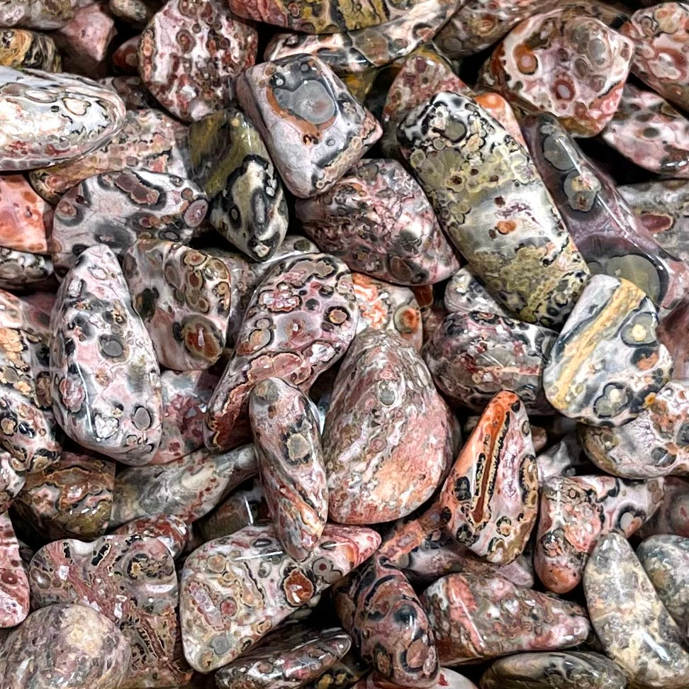 Leopard Jasper