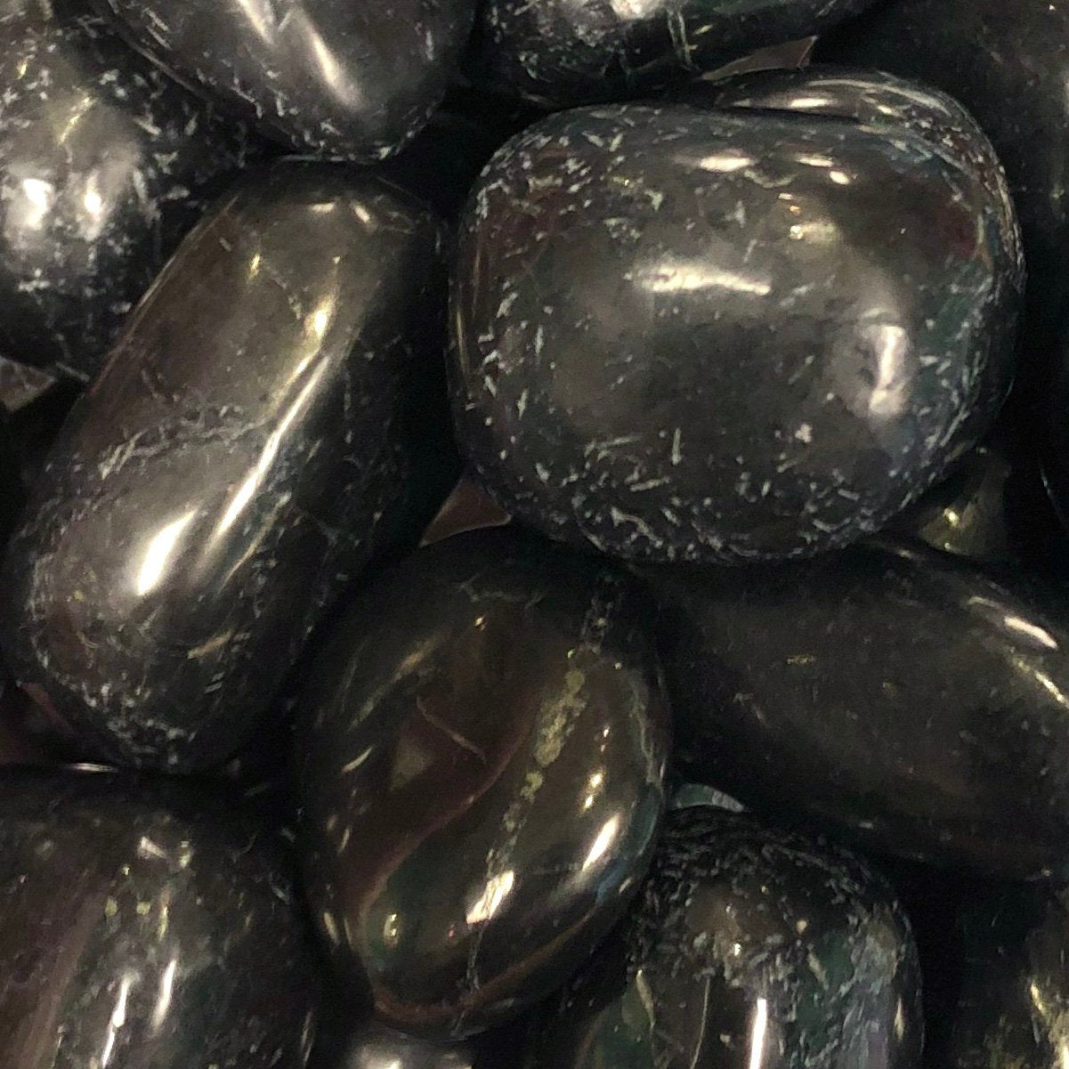 Shungite Tumbled/l