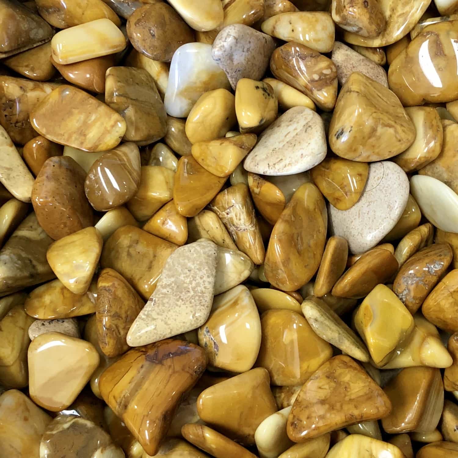 jasper yellow